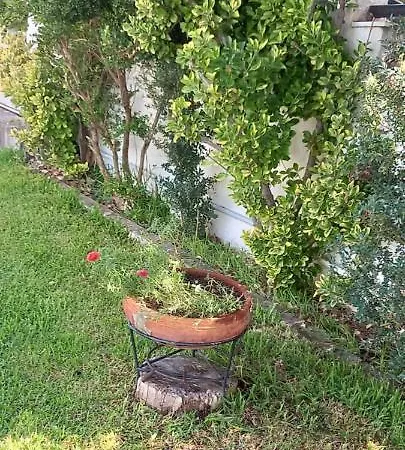Our Country House * Vergia